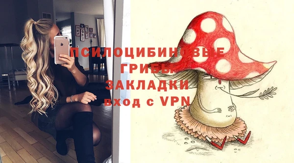 твердый Алексеевка