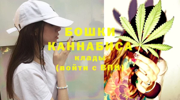 PSILOCYBIN Чекалин