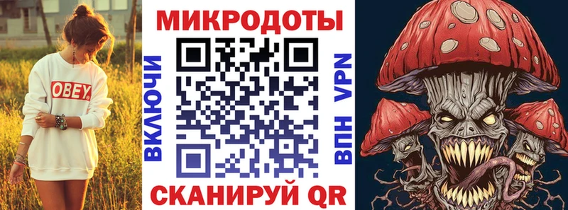 что такое   Челябинск  Галлюциногенные грибы Psilocybine cubensis 